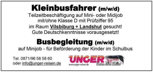 Kleinbusfahrer Anzeige