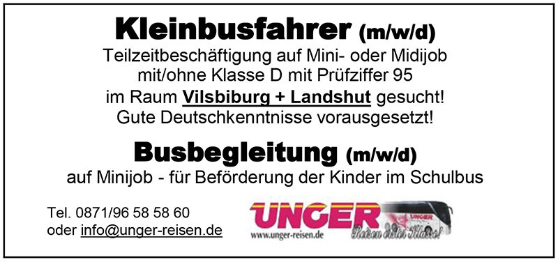 Kleinbusfahrer Anzeige